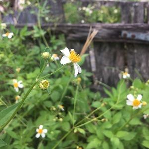 Meet your Posher, Celeste